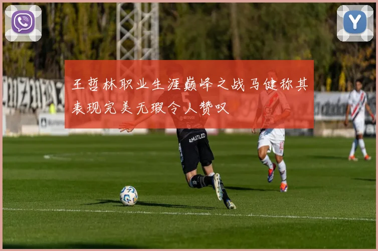 王哲林职业生涯巅峰之战马健称其表现完美无瑕令人赞叹
